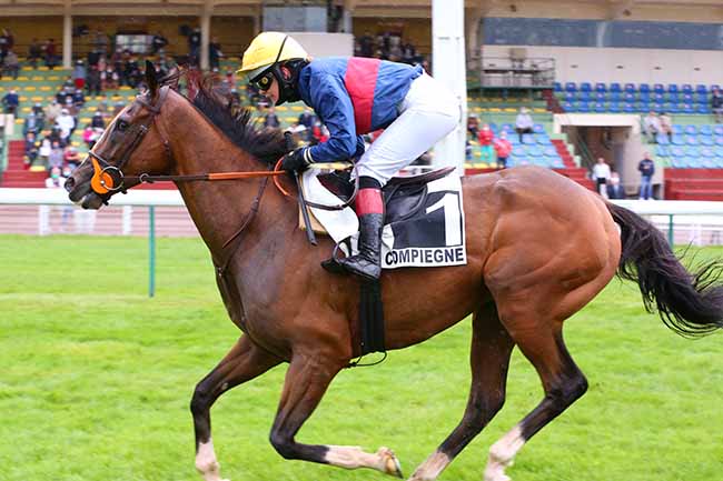 Photo d'arrivée de la course pmu PRIX DE THONON à COMPIEGNE le Jeudi 24 septembre 2020