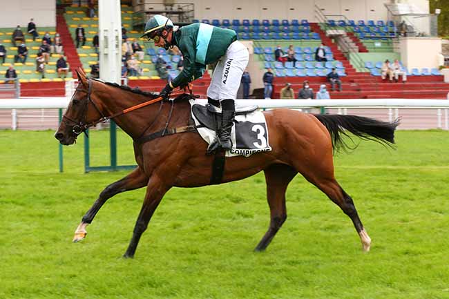 Photo d'arrivée de la course pmu PRIX LOUIS CHAMPION à COMPIEGNE le Jeudi 24 septembre 2020