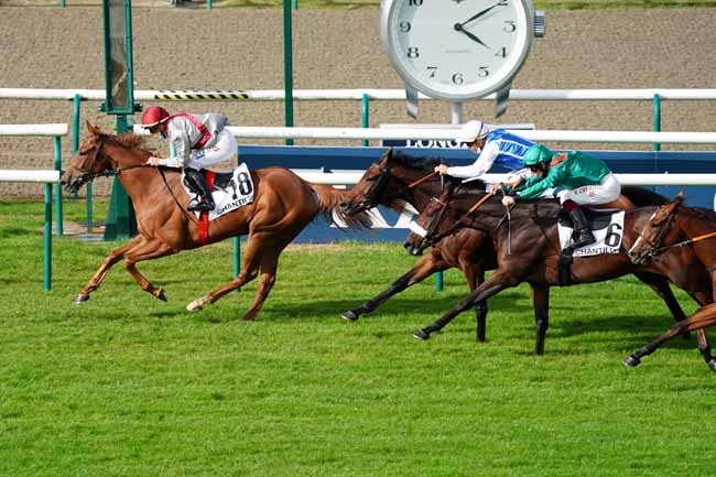 Photo d'arrivée de la course pmu PRIX DU BOIS MOUSSERON à CHANTILLY le Vendredi 25 septembre 2020