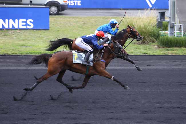 Photo d'arrivée de la course pmu PRIX DES ELITES à PARIS-VINCENNES le Dimanche 27 septembre 2020