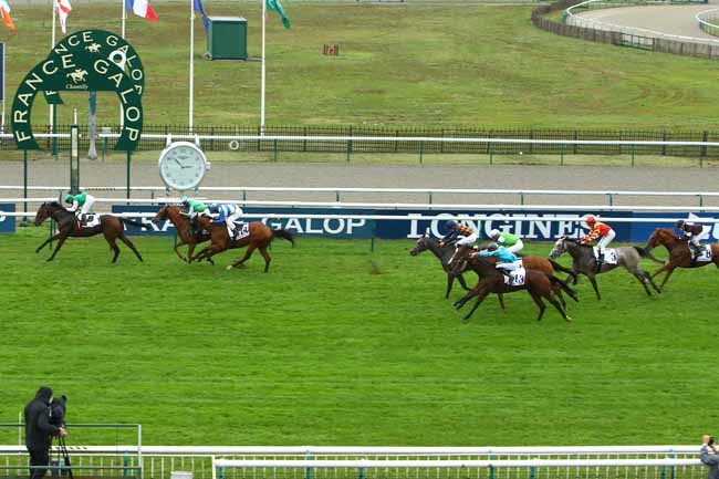 Photo d'arrivée de la course pmu PRIX DU PONCEL à CHANTILLY le Lundi 28 septembre 2020
