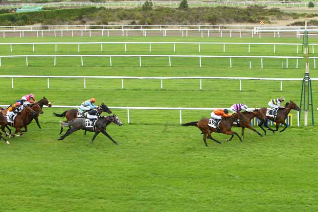 Photo d'arrivée de la course pmu PRIX ROLAND FOUGEDOIRE à FONTAINEBLEAU le Mardi 29 septembre 2020