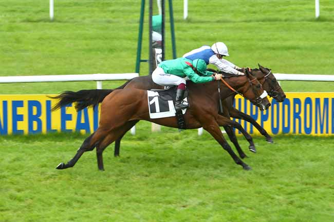 Photo d'arrivée de la course pmu PRIX GOLF-RESTAURANT LA FORTERESSE à FONTAINEBLEAU le Mardi 29 septembre 2020