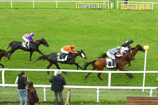 Photo d'arrivée de la course pmu PRIX MAISON DE VENTES AUX ENCHERES OSENAT à FONTAINEBLEAU le Mardi 29 septembre 2020