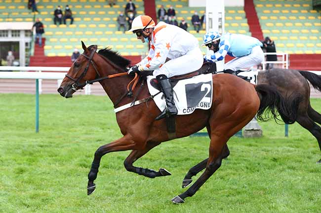 Photo d'arrivée de la course pmu PRIX D'AIX à COMPIEGNE le Mardi 29 septembre 2020