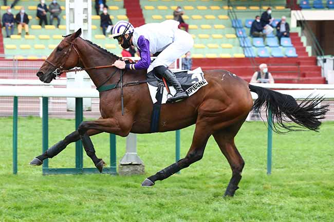Photo d'arrivée de la course pmu PRIX BAY ARCHER à COMPIEGNE le Mardi 29 septembre 2020