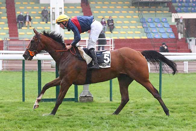 Photo d'arrivée de la course pmu PRIX NORTHERNTOWN à COMPIEGNE le Mardi 29 septembre 2020