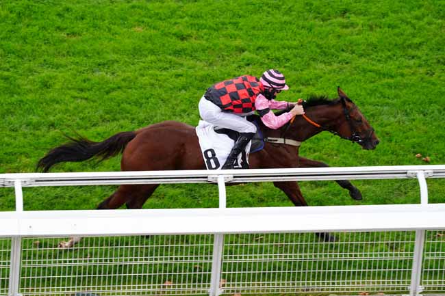 Photo d'arrivée de la course pmu PRIX GUILLAUME DE PRACOMTAL à AUTEUIL le Jeudi 1 octobre 2020