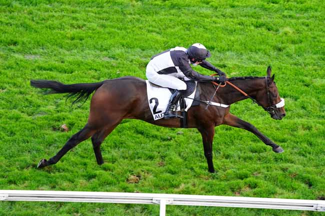 Photo d'arrivée de la course pmu PRIX HIPPARQUE à AUTEUIL le Jeudi 1 octobre 2020