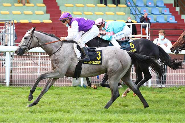 Photo d'arrivée de la course pmu PRIX DE L'ARTOIS à COMPIEGNE le Jeudi 1 octobre 2020
