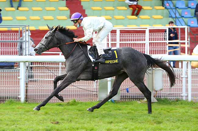 Photo d'arrivée de la course pmu PRIX DE L'AVESNOIS à COMPIEGNE le Jeudi 1 octobre 2020