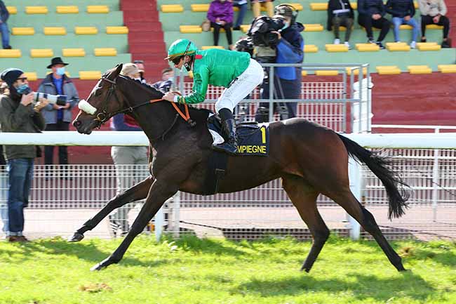 Photo d'arrivée de la course pmu PRIX DU PUITS D'ORLEANS à COMPIEGNE le Jeudi 1 octobre 2020