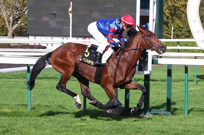 Photo d'arrivée de la course pmu PRIX DU PUITS D'ANTIN à COMPIEGNE le Jeudi 1 octobre 2020