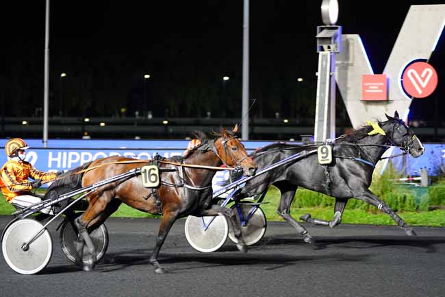 Photo d'arrivée de la course pmu PRIX LUDOVICA à PARIS-VINCENNES le Vendredi 2 octobre 2020