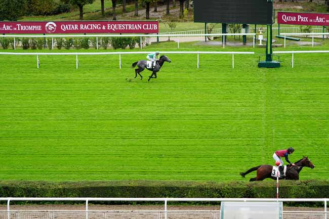 Photo d'arrivée de la course pmu PRIX MATCHEM à SAINT-CLOUD le Vendredi 2 octobre 2020