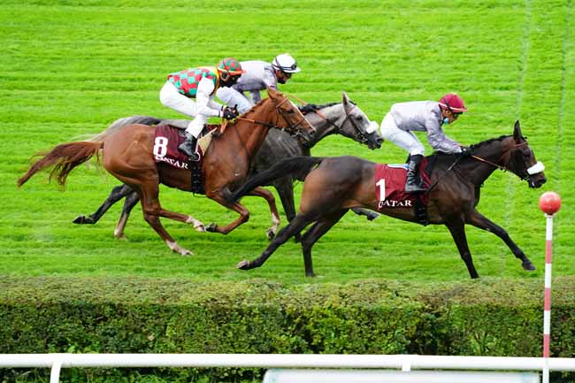 Photo d'arrivée de la course pmu QATAR ARABIAN TROPHY DES POULICHES à SAINT-CLOUD le Vendredi 2 octobre 2020
