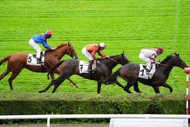 Photo d'arrivée de la course pmu PRIX SCARAMOUCHE à SAINT-CLOUD le Vendredi 2 octobre 2020