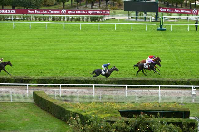 Photo d'arrivée de la course pmu PRIX DU CHAROLAIS à SAINT-CLOUD le Vendredi 2 octobre 2020