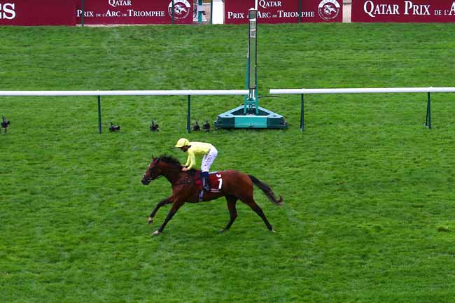 Photo d'arrivée de la course pmu PRIX HARAS DE BOUQUETOT - CRITERIUM DE LA VENTE D'OCTOBRE ARQANA à LONGCHAMP le Samedi 3 octobre 2020