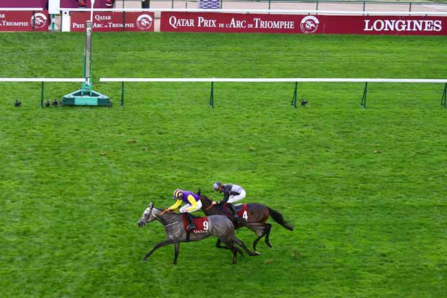 Photo d'arrivée de la course pmu QATAR PRIX DU CADRAN à LONGCHAMP le Samedi 3 octobre 2020
