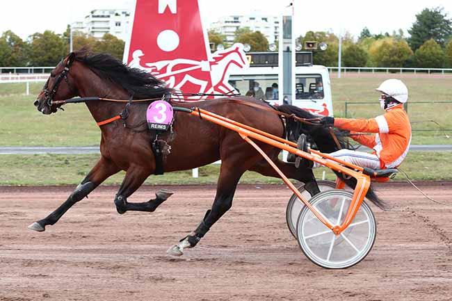Photo d'arrivée de la course pmu PRIX DE L'HIPPODROME DE NANCY à REIMS le Lundi 5 octobre 2020