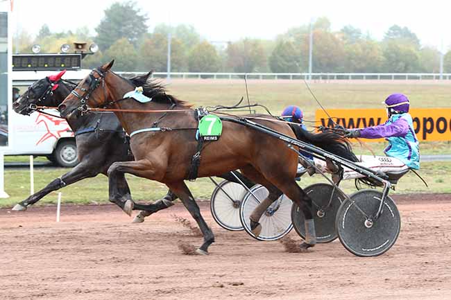 Photo d'arrivée de la course pmu PRIX DE L'HIPPODROME DE REIMS à REIMS le Lundi 5 octobre 2020