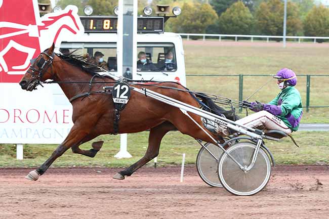 Photo d'arrivée de la course pmu PRIX DE L'HIPPODROME DE MONTIER-EN-DER à REIMS le Lundi 5 octobre 2020