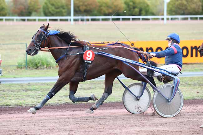 Photo d'arrivée de la course pmu PRIX DE L'HIPPODROME DE CHALONS-EN-CHAMPAGNE à REIMS le Lundi 5 octobre 2020