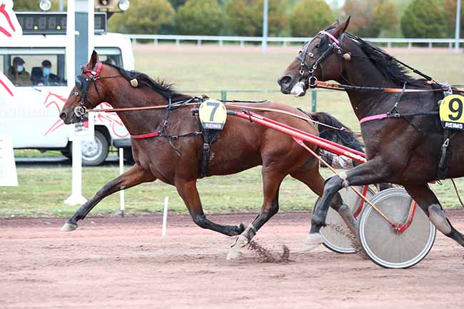Photo d'arrivée de la course pmu PRIX DE L'HIPPODROME DE VITTEL à REIMS le Lundi 5 octobre 2020