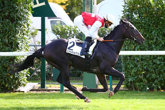Photo d'arrivée de la course pmu L'EXPRESS à CHANTILLY le Mardi 6 octobre 2020