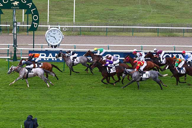 Photo d'arrivée de la course pmu PRIX DE LA THEVE à CHANTILLY le Mardi 6 octobre 2020