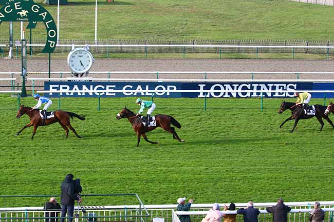 Photo d'arrivée de la course pmu PRIX DE L'YSIEUX à CHANTILLY le Mardi 6 octobre 2020