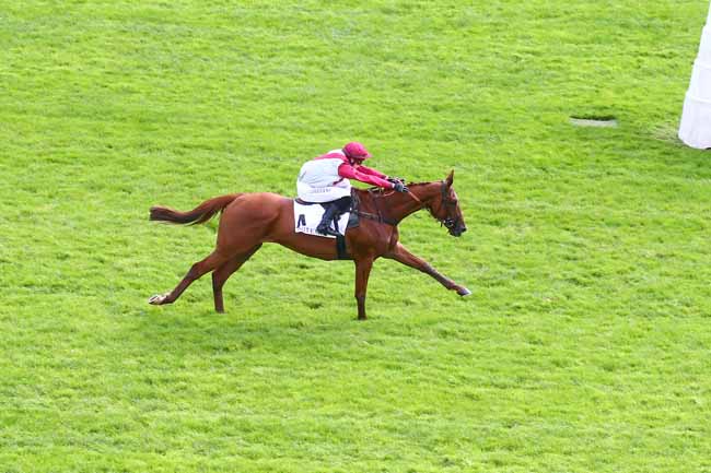 Photo d'arrivée de la course pmu PRIX BISON FUTE à AUTEUIL le Mercredi 7 octobre 2020