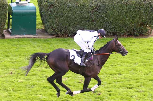 Photo d'arrivée de la course pmu PRIX DE BAGATELLE à AUTEUIL le Mercredi 7 octobre 2020