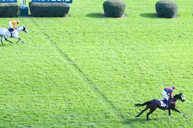 Photo d'arrivée de la course pmu PRIX DE SALERS à AUTEUIL le Mercredi 7 octobre 2020