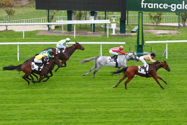 Photo d'arrivée de la course pmu PRIX AD ALTIORA à SAINT-CLOUD le Jeudi 8 octobre 2020