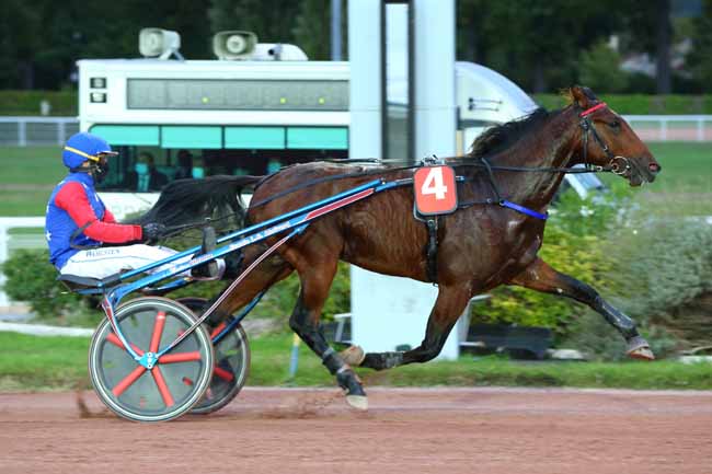 Photo d'arrivée de la course pmu PRIX DE LA PORTE DE LA CHAPELLE à ENGHIEN le Jeudi 8 octobre 2020