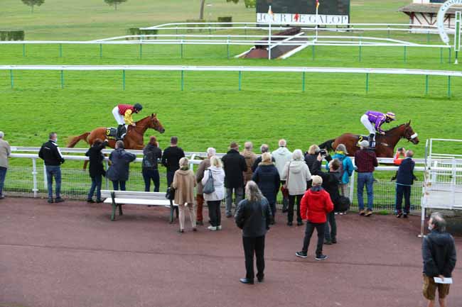 Photo d'arrivée de la course pmu PRIX DE BETHISY SAINT-PIERRE à COMPIEGNE le Vendredi 9 octobre 2020