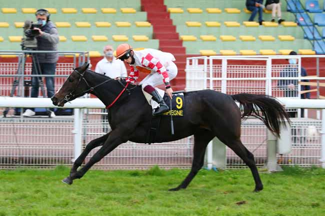 Photo d'arrivée de la course pmu PRIX DE SAINT-JEAN-AUX-BOIS à COMPIEGNE le Vendredi 9 octobre 2020