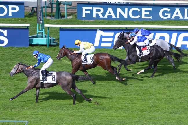 Photo d'arrivée de la course pmu PRIX DE L'ALLEE MASSINE à CHANTILLY le Samedi 10 octobre 2020