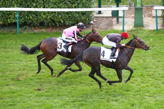 Photo d'arrivée de la course pmu CRITERIUM DE MAISONS-LAFFITTE à CHANTILLY le Samedi 10 octobre 2020