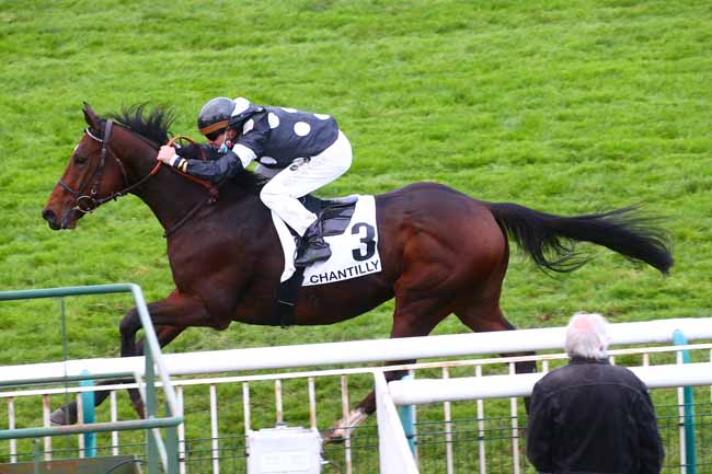 Photo d'arrivée de la course pmu PRIX DE VERDERONNE à CHANTILLY le Mardi 13 octobre 2020