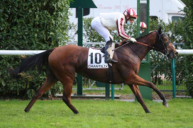 Photo d'arrivée de la course pmu PRIX DU LIVRE DU ROI MODUS à CHANTILLY le Mardi 13 octobre 2020