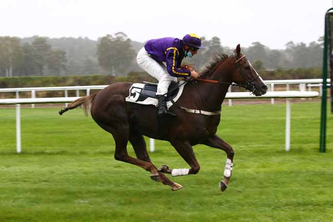 Photo d'arrivée de la course pmu PRIX DE L'ECOLE MILITAIRE D'EQUITATION à FONTAINEBLEAU le Mardi 13 octobre 2020
