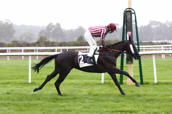 Photo d'arrivée de la course pmu PRIX D'URY à FONTAINEBLEAU le Mardi 13 octobre 2020