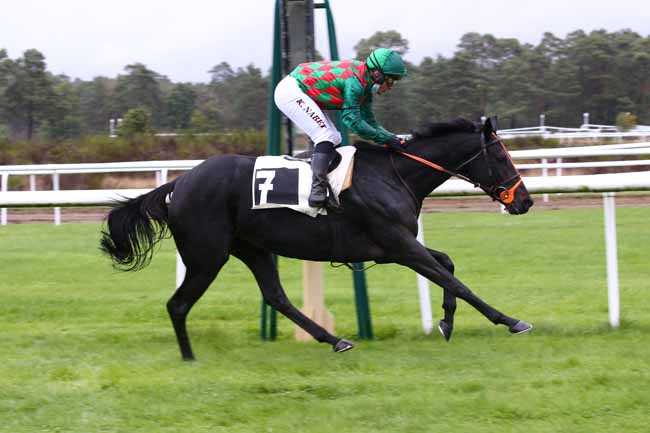 Photo d'arrivée de la course pmu PRIX COLONEL JOCHAUD DU PLESSIX à FONTAINEBLEAU le Mardi 13 octobre 2020