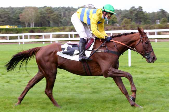 Photo d'arrivée de la course pmu PRIX DU RALLYE FONTAINEBLEAU à FONTAINEBLEAU le Mardi 13 octobre 2020
