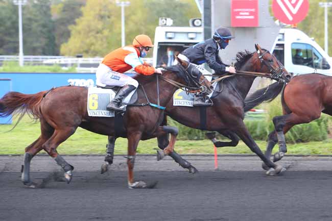 Photo d'arrivée de la course pmu PRIX PHACT à PARIS-VINCENNES le Mardi 13 octobre 2020