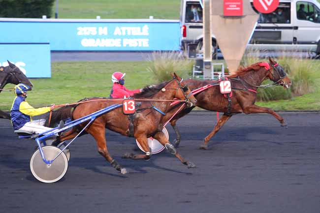 Photo d'arrivée de la course pmu PRIX BELLONA à PARIS-VINCENNES le Mardi 13 octobre 2020