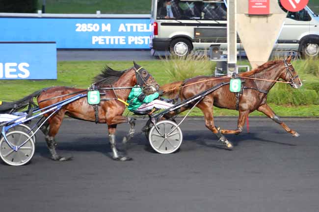 Photo d'arrivée de la course pmu PRIX ARETHUSA à PARIS-VINCENNES le Mardi 13 octobre 2020